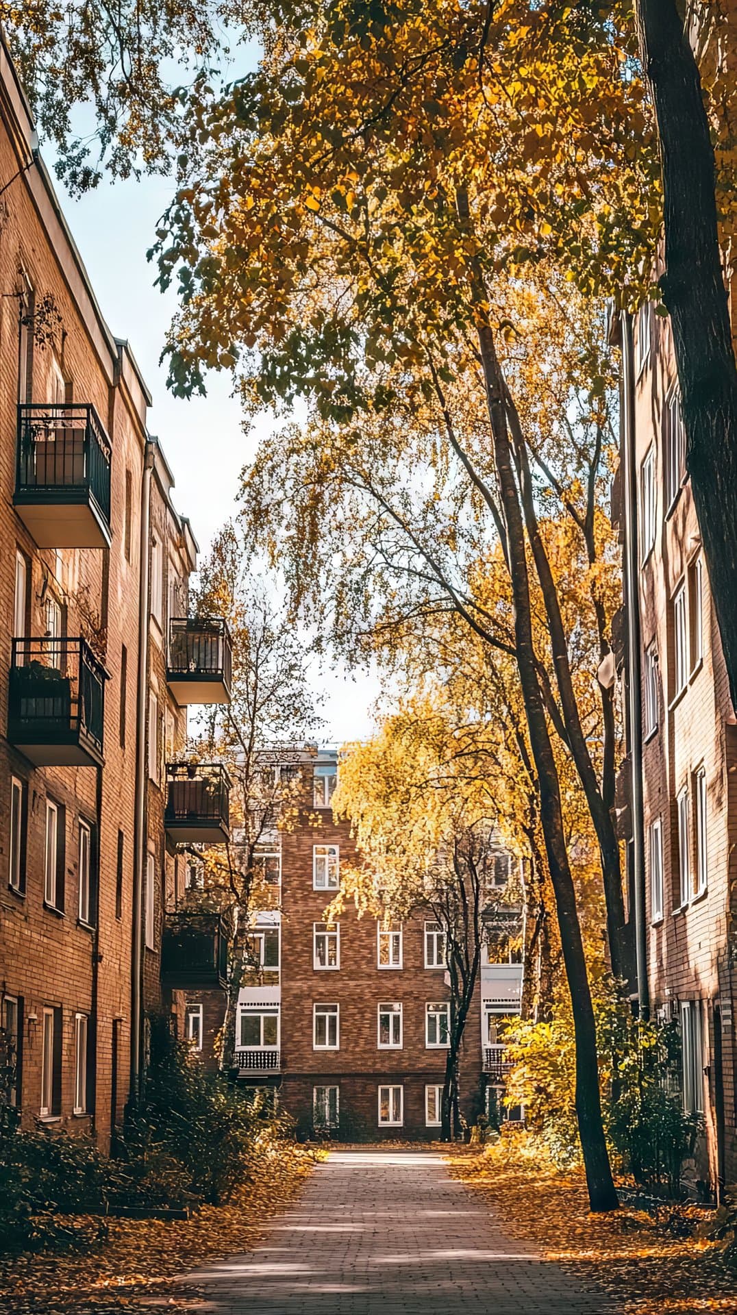 How I Guide You From Start To Finish